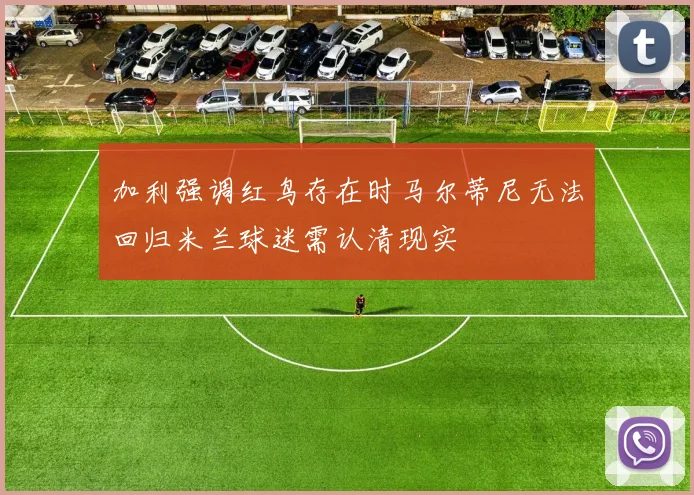 加利强调红鸟存在时马尔蒂尼无法回归米兰球迷需认清现实