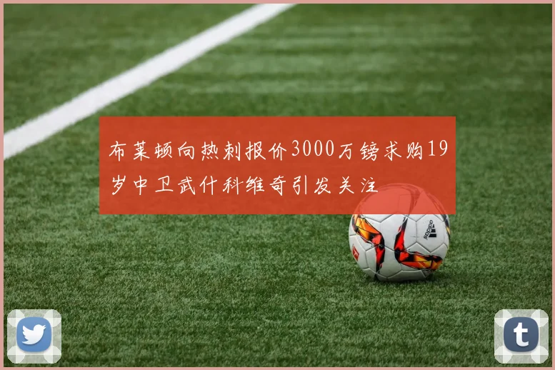 布莱顿向热刺报价3000万镑求购19岁中卫武什科维奇引发关注