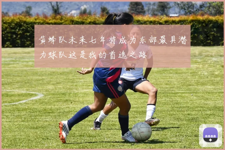 黄蜂队未来七年将成为东部最具潜力球队这是我的首选之路